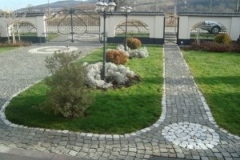 poarta298
